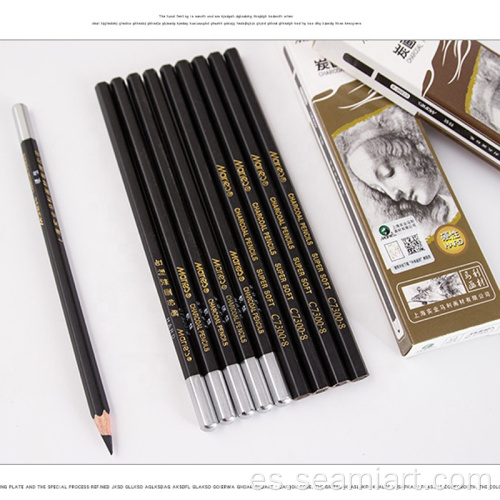 set de lápices de carbón de carbón negro profesional negro